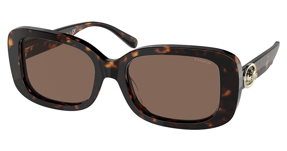 DARK TORTOISE / DARK BROWN SOLID