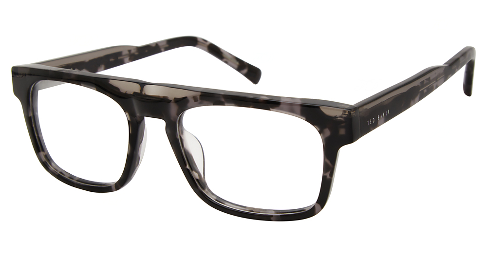 grey tortoise