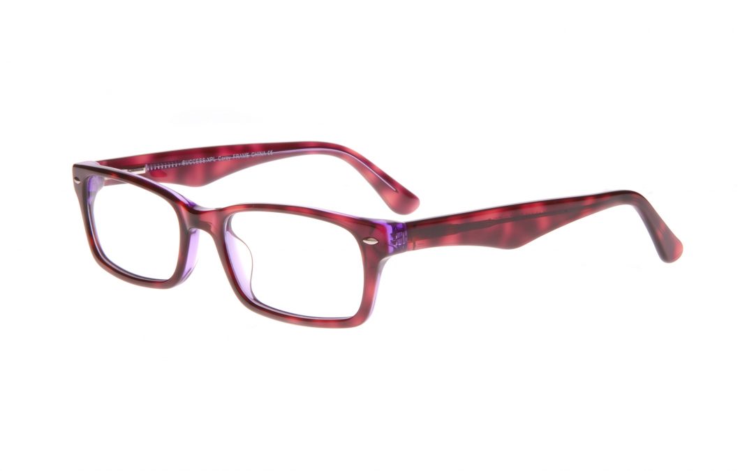 Tortoise/Purple