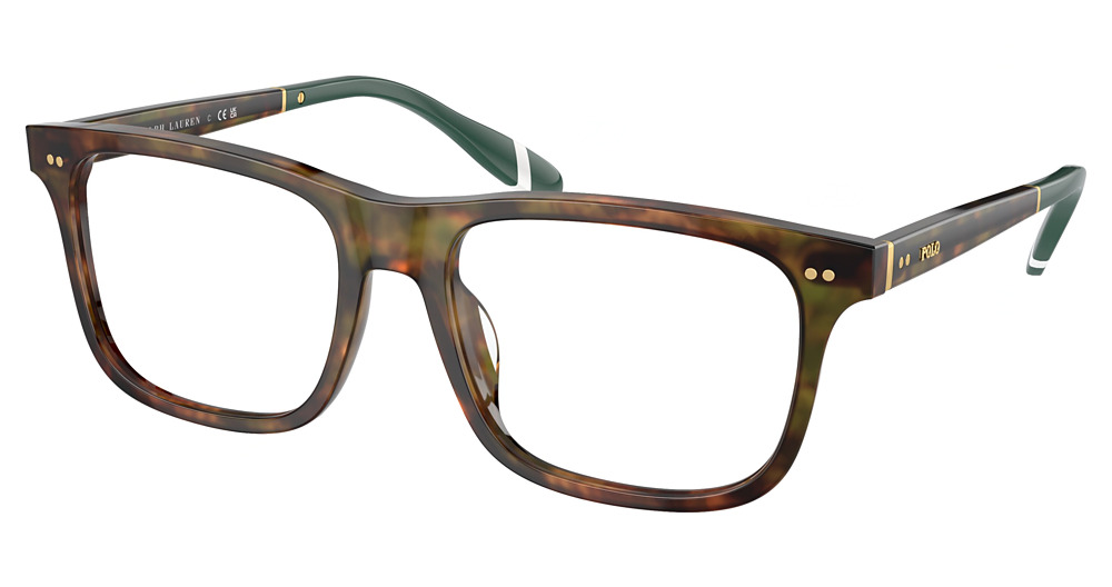 SHINY BROWN TORTOISE
