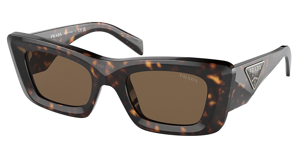 TORTOISE / DARK BROWN