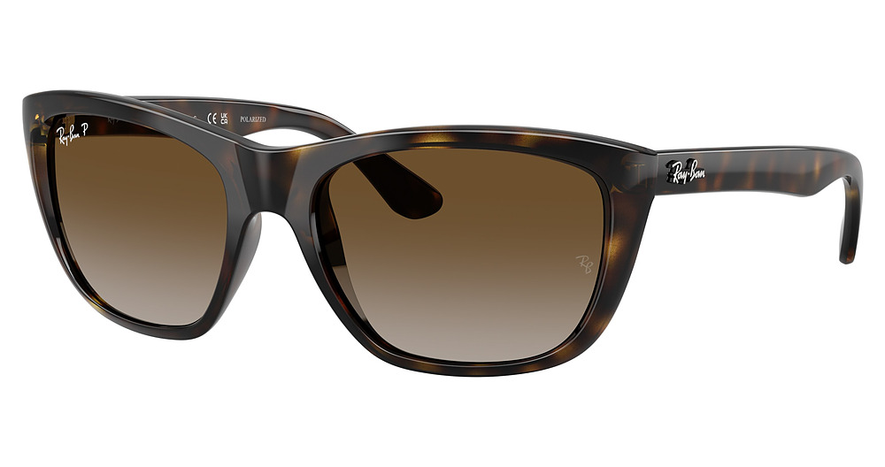 Ray-Ban RB4154 RB4154 sunglasses in Havana/Grey Gradient Polarized