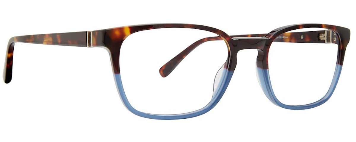 Tortoise Blue