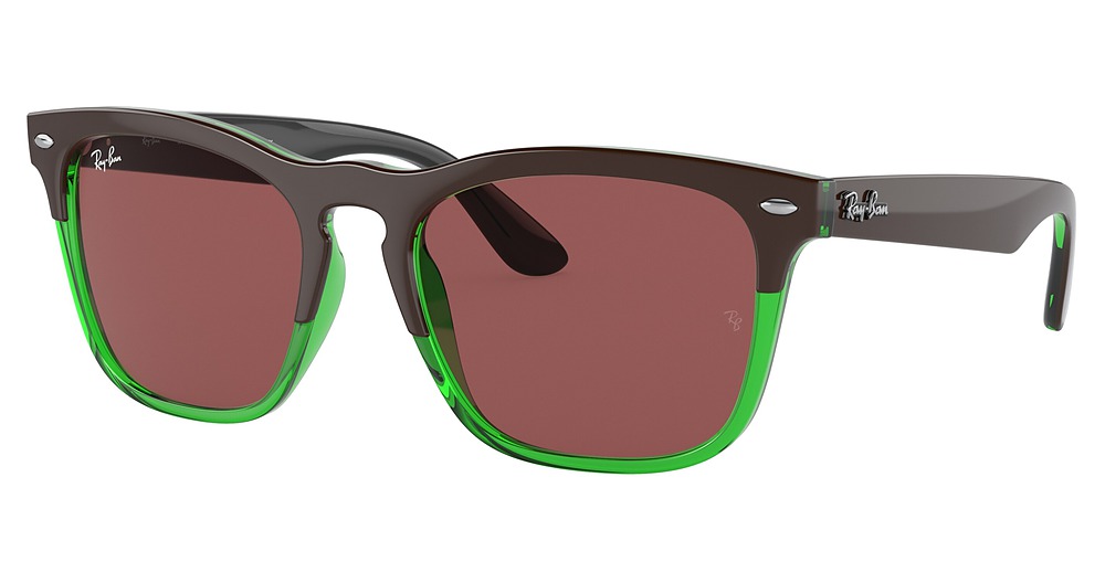 Ray-Ban RB4487F STEVE round sunglasses in Dark Brown on Transp Gre/Dark Violet