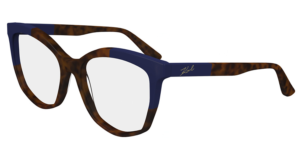 TORTOISE/BLUE