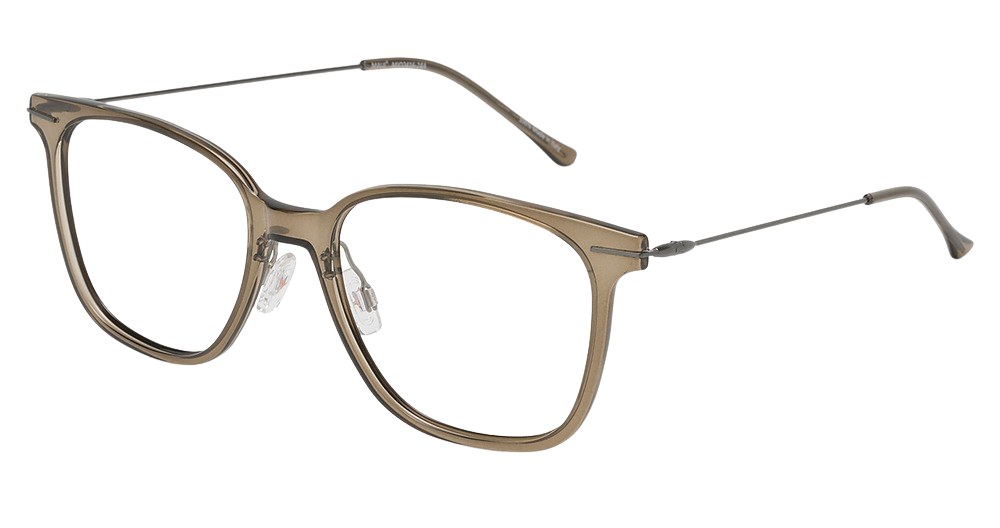Transparent Taupe with Dark Gunmetal temples