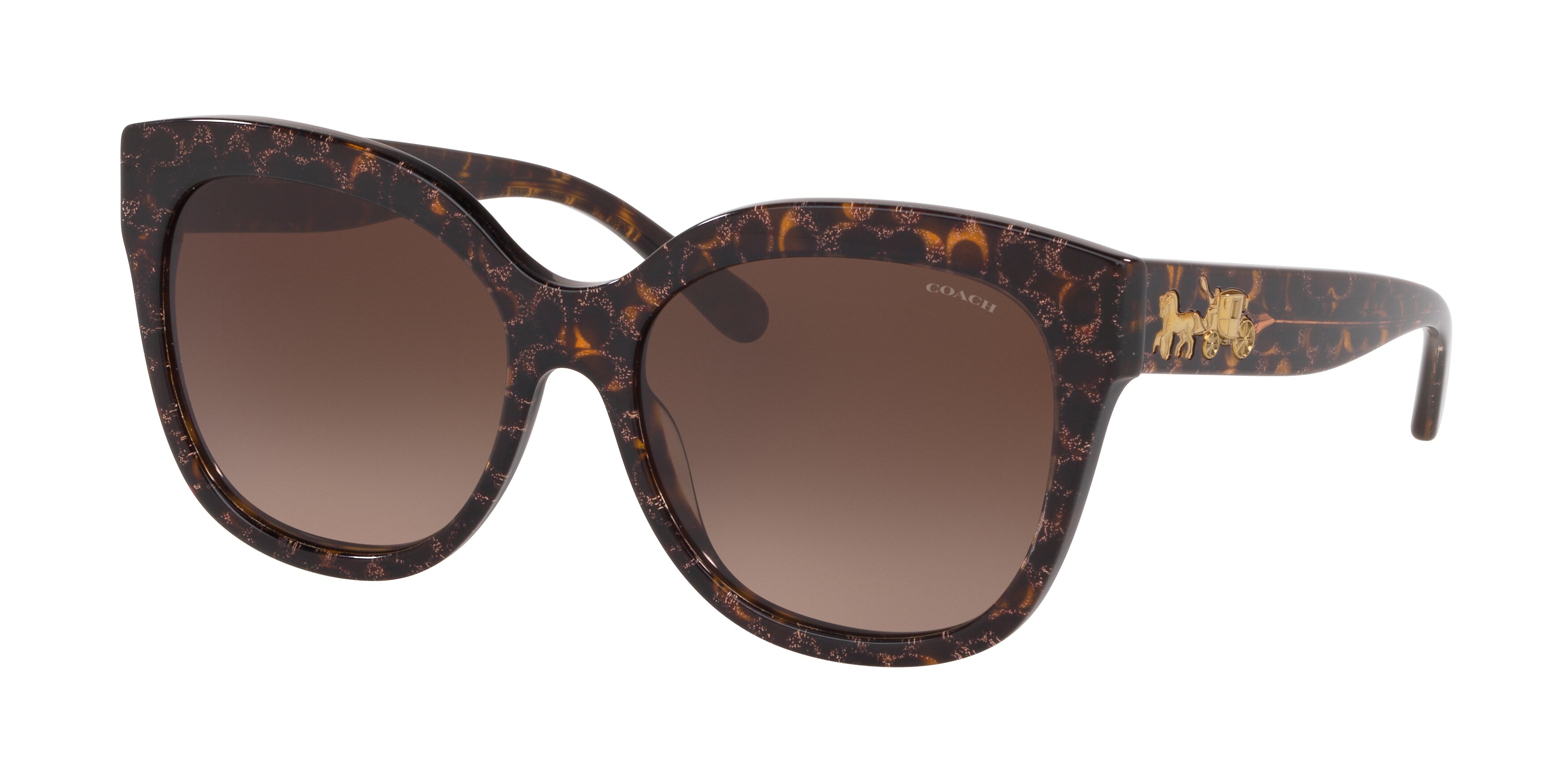 TORTOISE GLITTER SIGNATURE C
