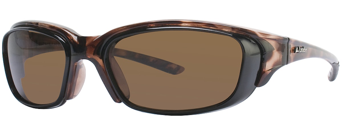 Tortoise / Brown