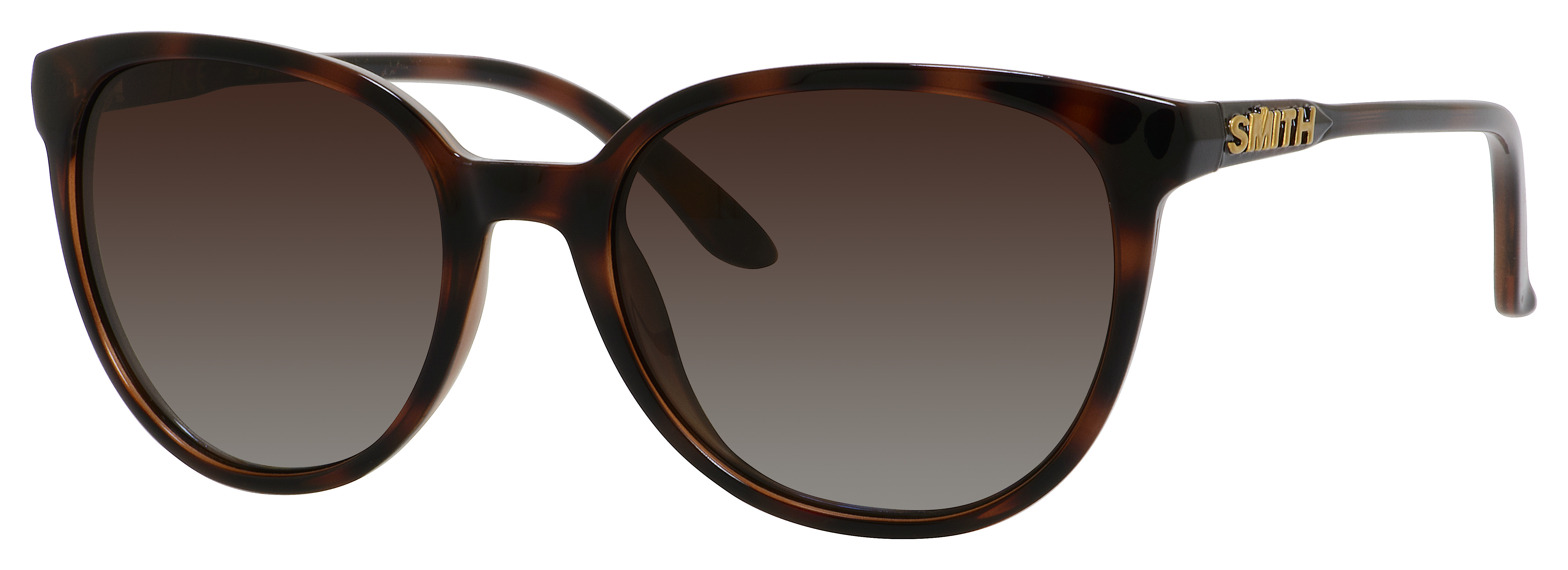 Tortoise (Nol) (AY Brown Gradient Pz)