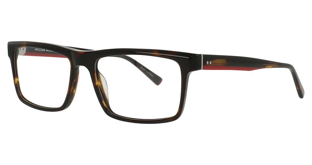 TORTOISE DARK SHINY