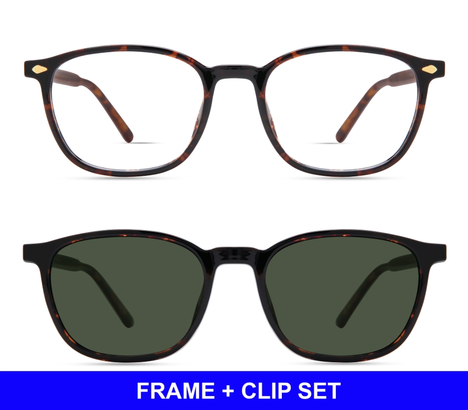 DARK TORTOISE - SET