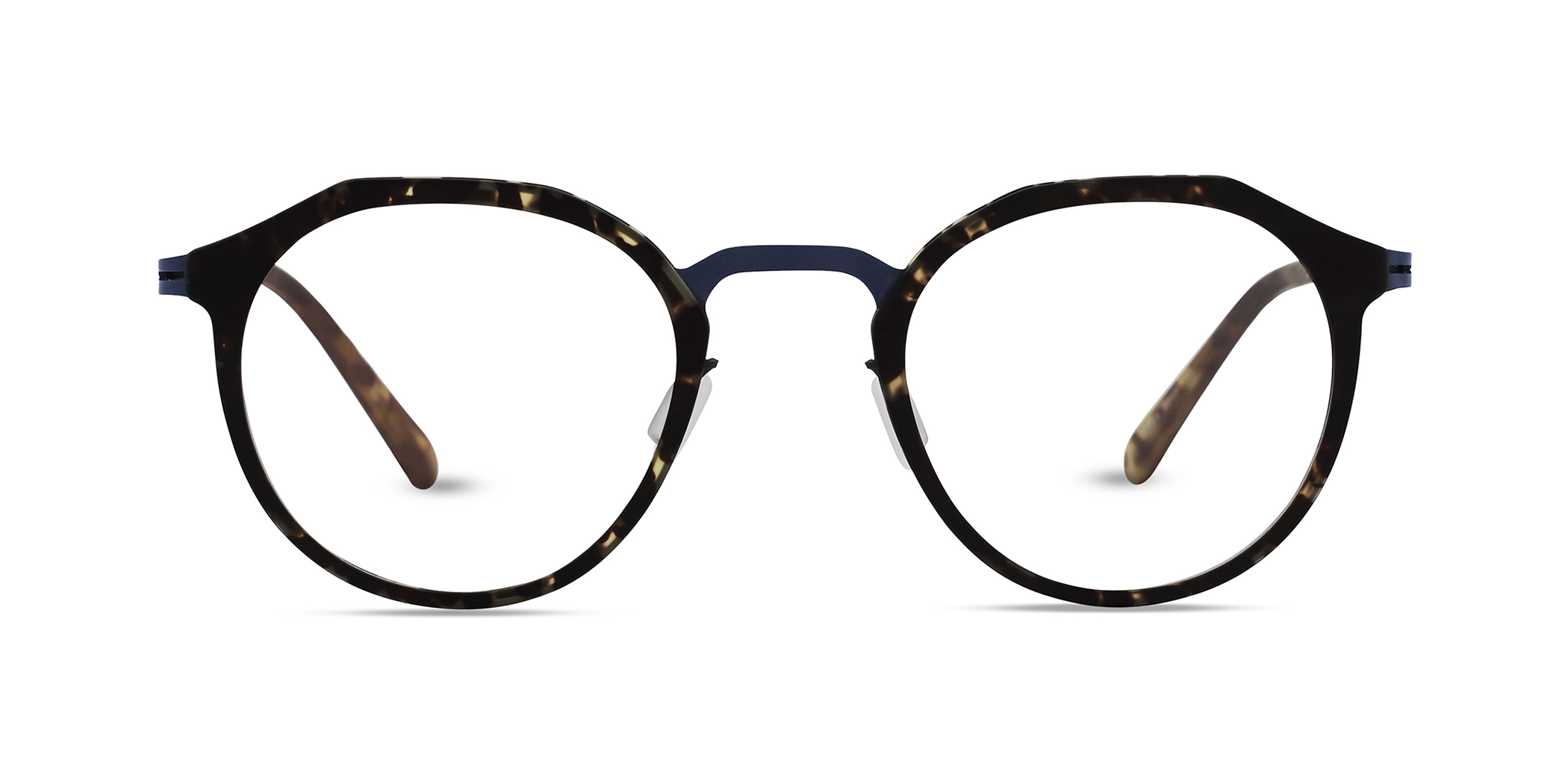 TORTOISE / BLUE