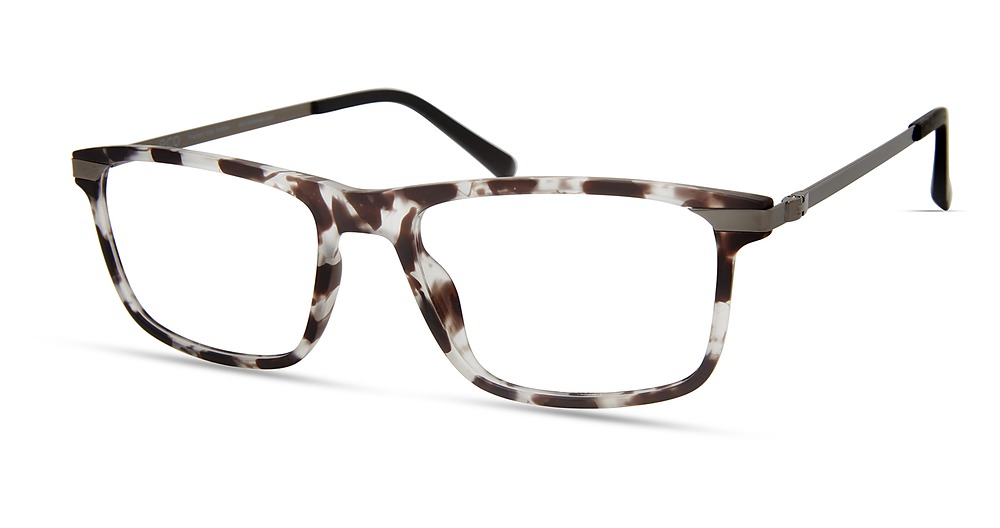 Grey Tortoise
