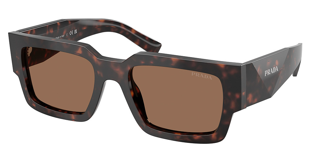 ROOT TORTOISE / DARK BROWN