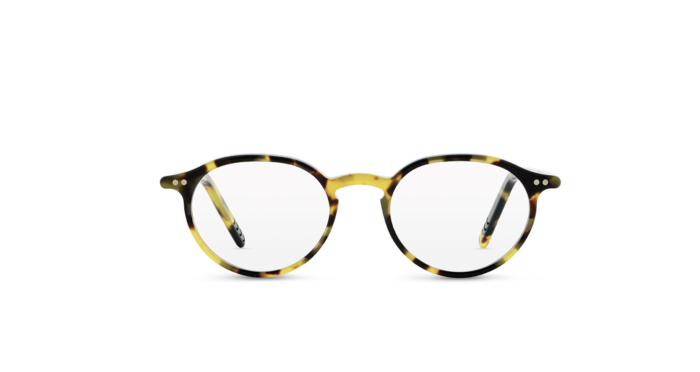 Tokyo Tortoise