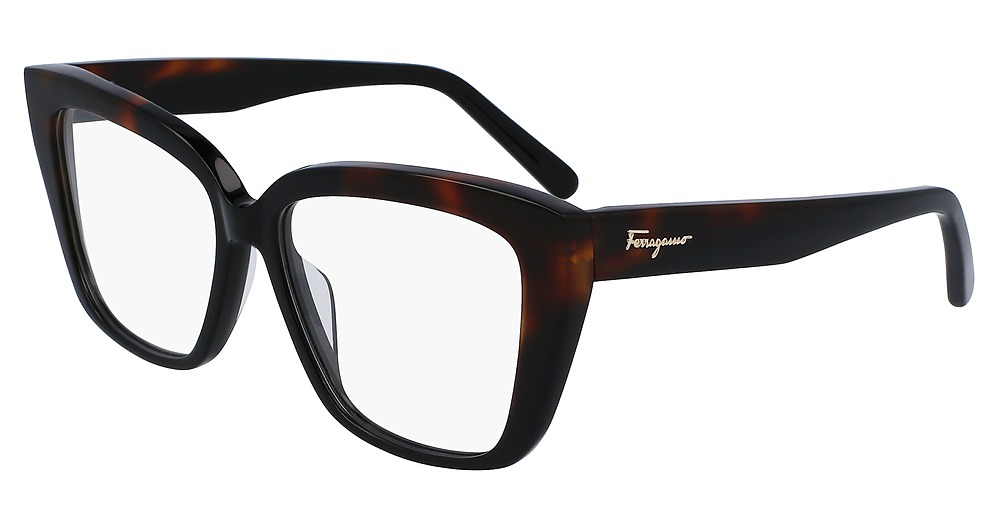BLACK/TORTOISE