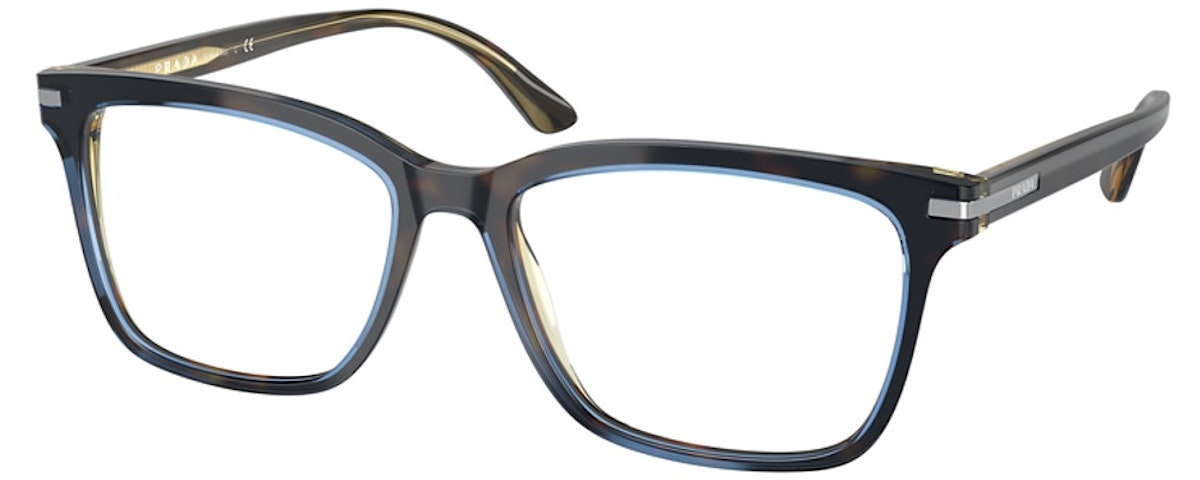 MORO TURQUOISE TORTOISE