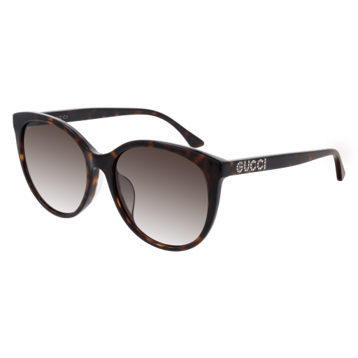 Gucci GG0729SA round sunglasses in Havana Havana Brown/Nylon