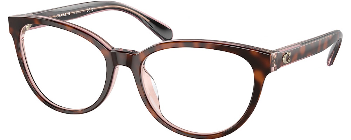 TORTOISE / TRANSPARENT P