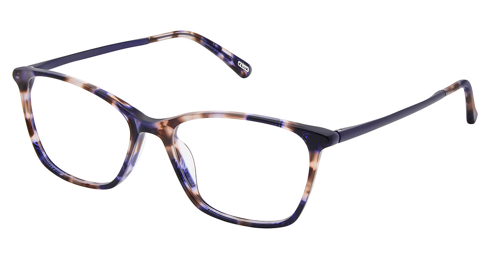 INDIGO TORTOISE