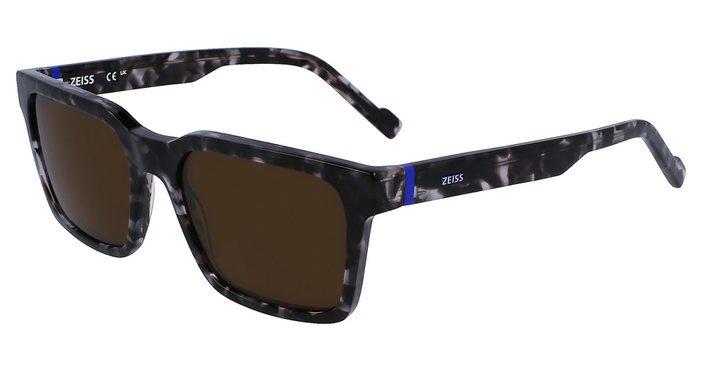 BLACK TORTOISE
