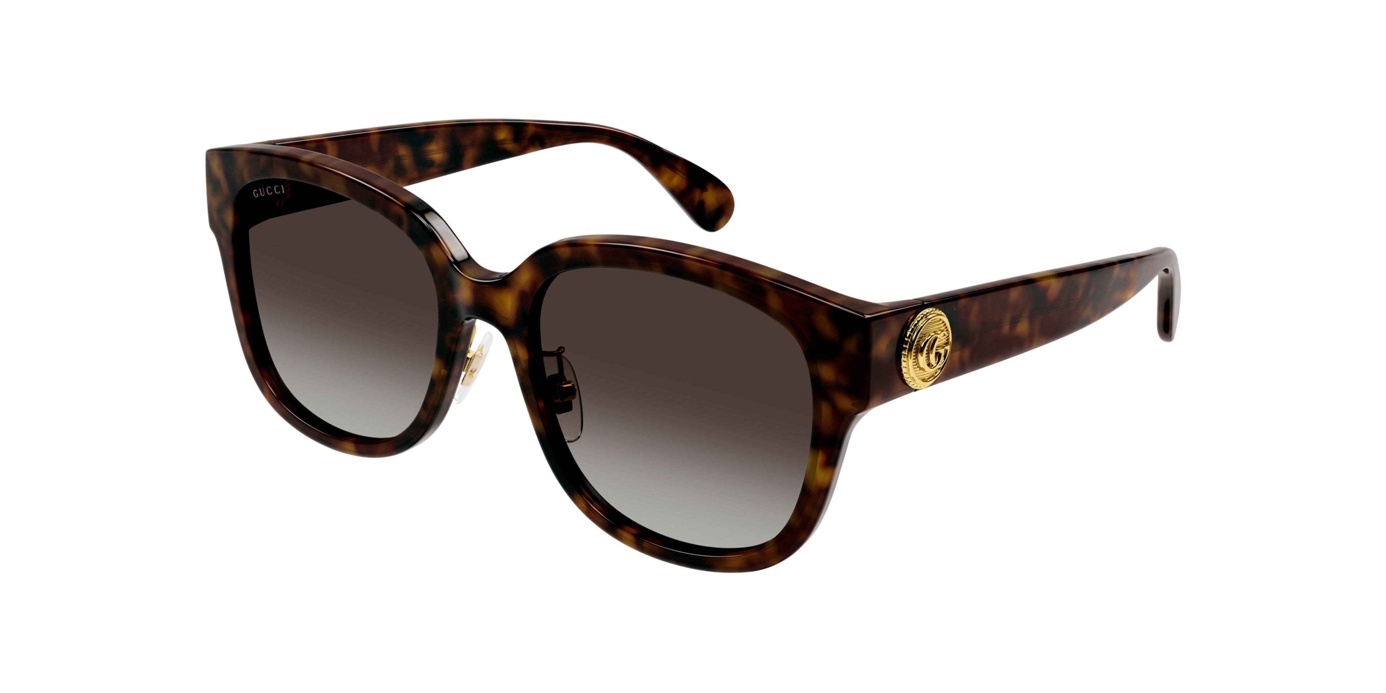 HAVANA-HAVANA-BROWN / BROWN