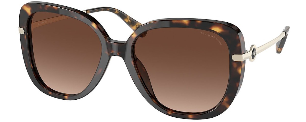 DARK TORTOISE / DARK BROWN GRADIENT POLAR