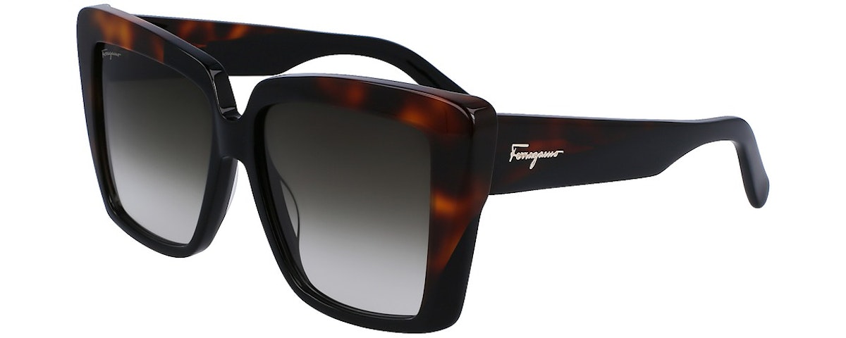 BLACK/TORTOISE