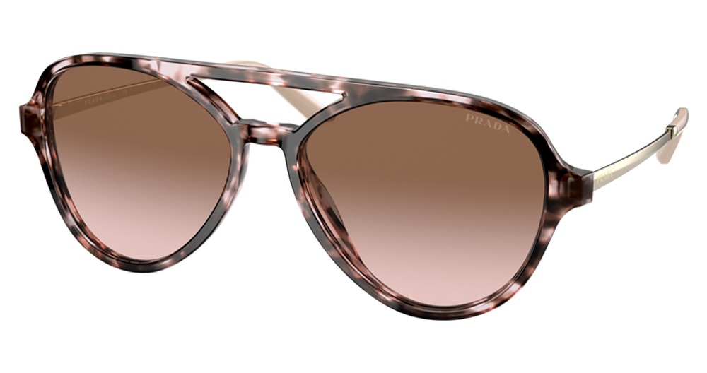 ORCHID TORTOISE / BROWN GRADIENT