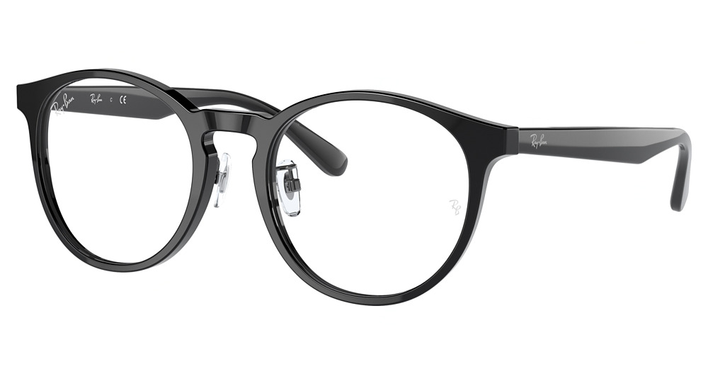 Ray-Ban RX5401D round eyeglasses in Black