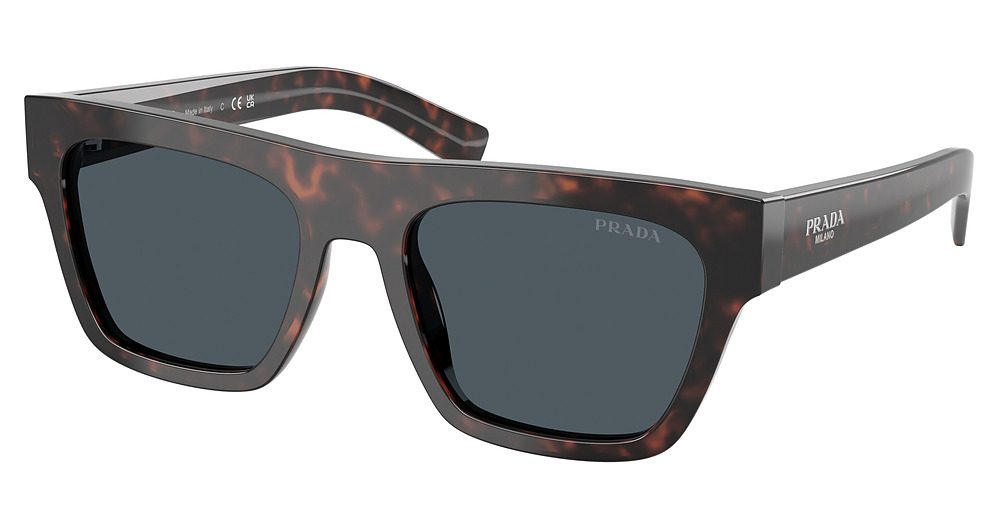 ROOT HAVANA / DARK GREY