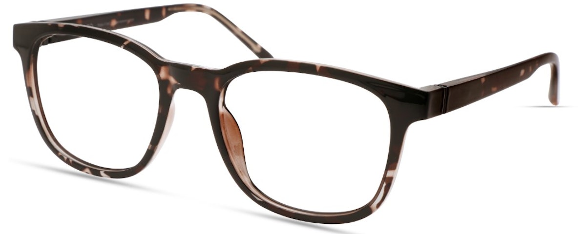 DARK GREY TORTOISE