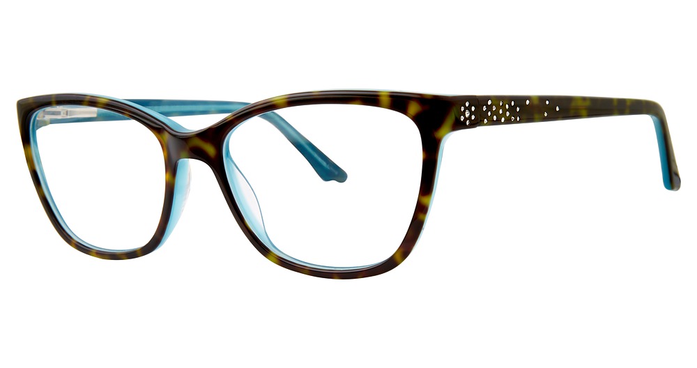 tortoise /blue