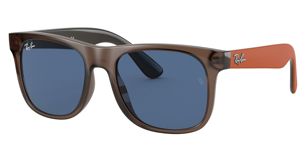 TRANSPARENT BROWN / DARK BLUE