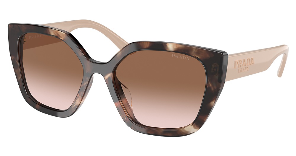 CARAMEL TORTOISE / BROWN GRADIENT