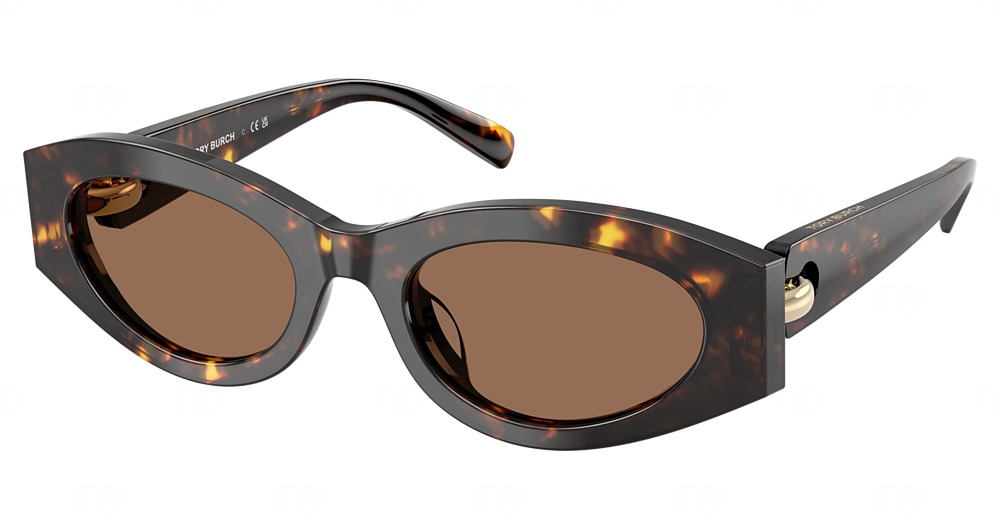 BROWN TORTOISE / BROWN