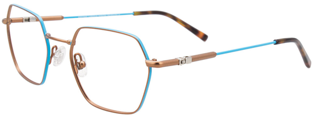Bronze & Blue/Tortoise
