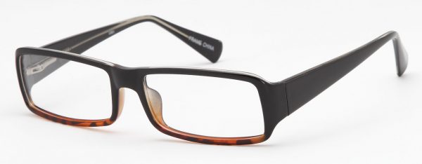 Black Tortoise