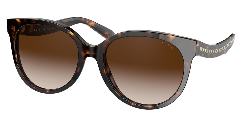 DARK TORTOISE / BROWN GRADIENT