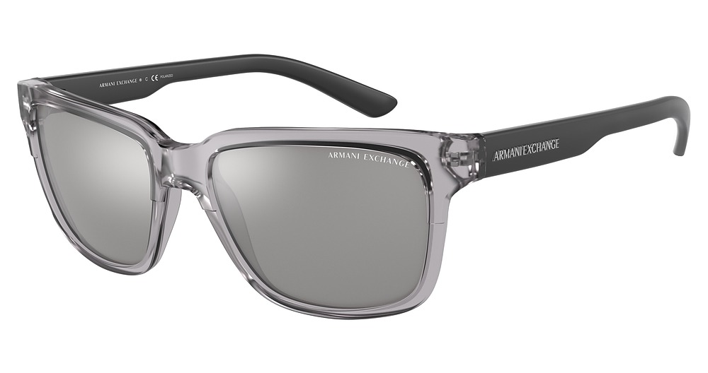 SHINY TRANSPARENT GREY / GREY MIRROR SILVER POLAR