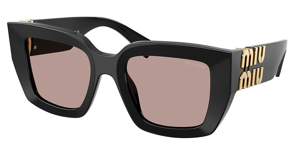 BLACK / LIGHT PURPLE BROWN