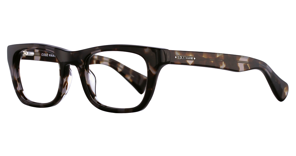 BLACK TORTOISE