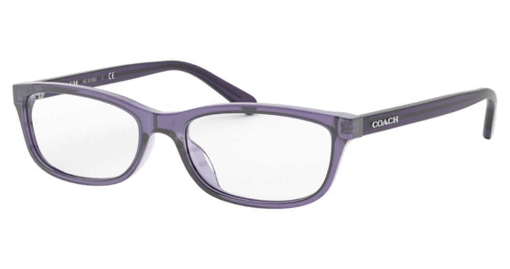 TRANSPARENT PURPLE