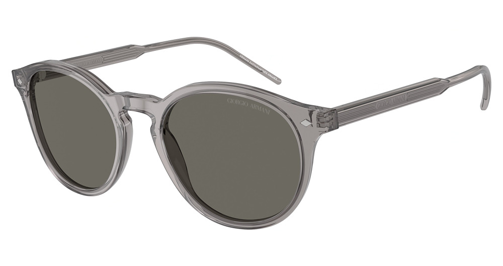 TRASPARENT GREY / GREY