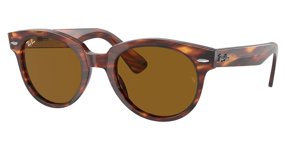 Ray-Ban RB2199F ORION round sunglasses in Striped Havana/Brown