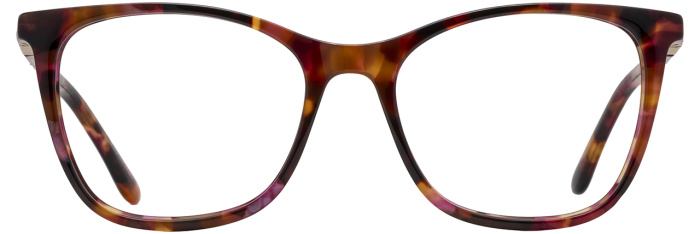 Berry Tortoise / Gold