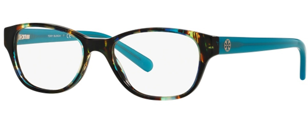BLUE BROWN TORTOISE