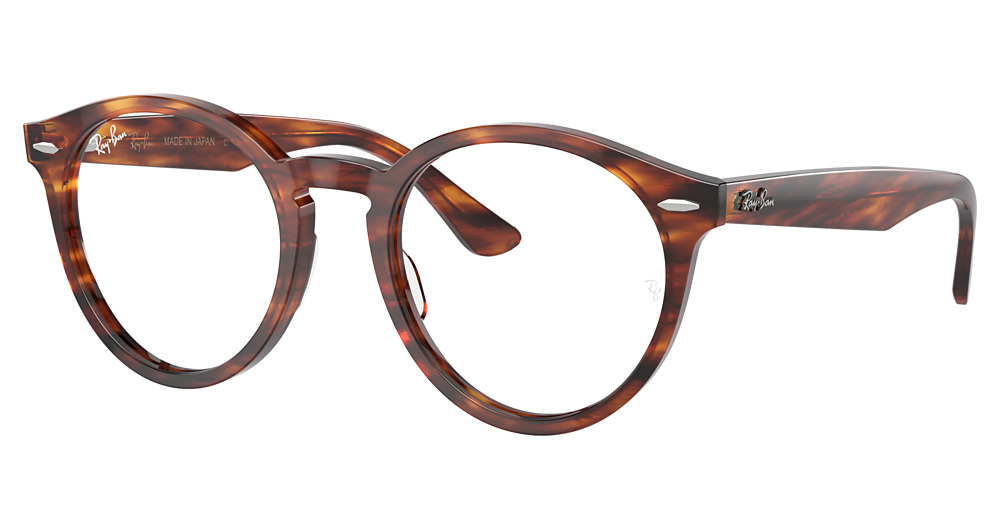 Ray-Ban RX7680V LARRY round eyeglasses in Striped Havana