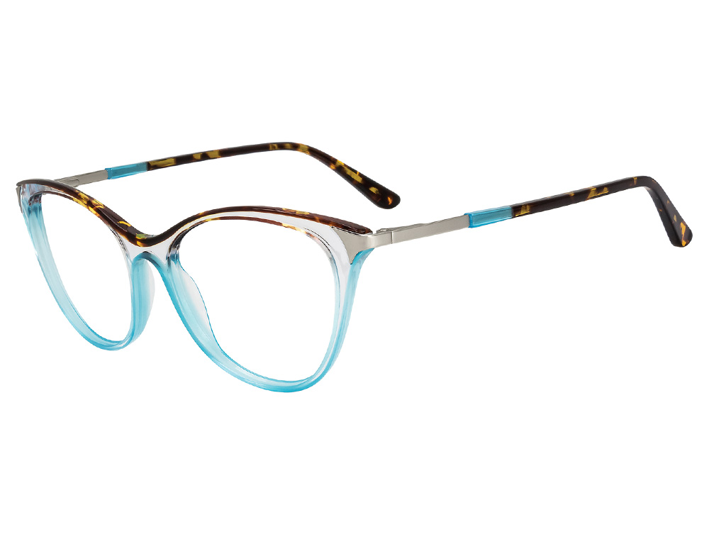 Tortoise/Aqua