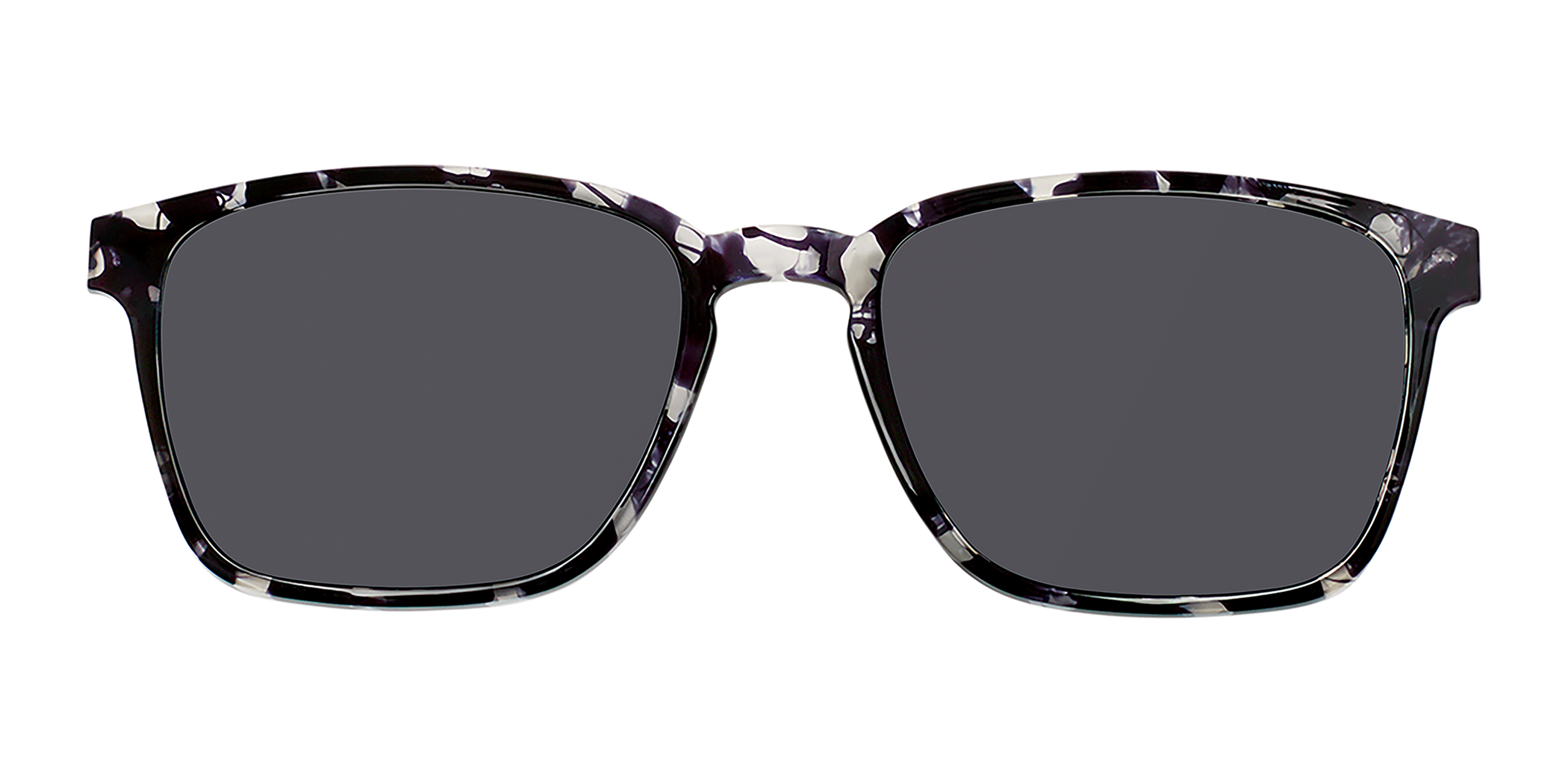 Grey Tortoise